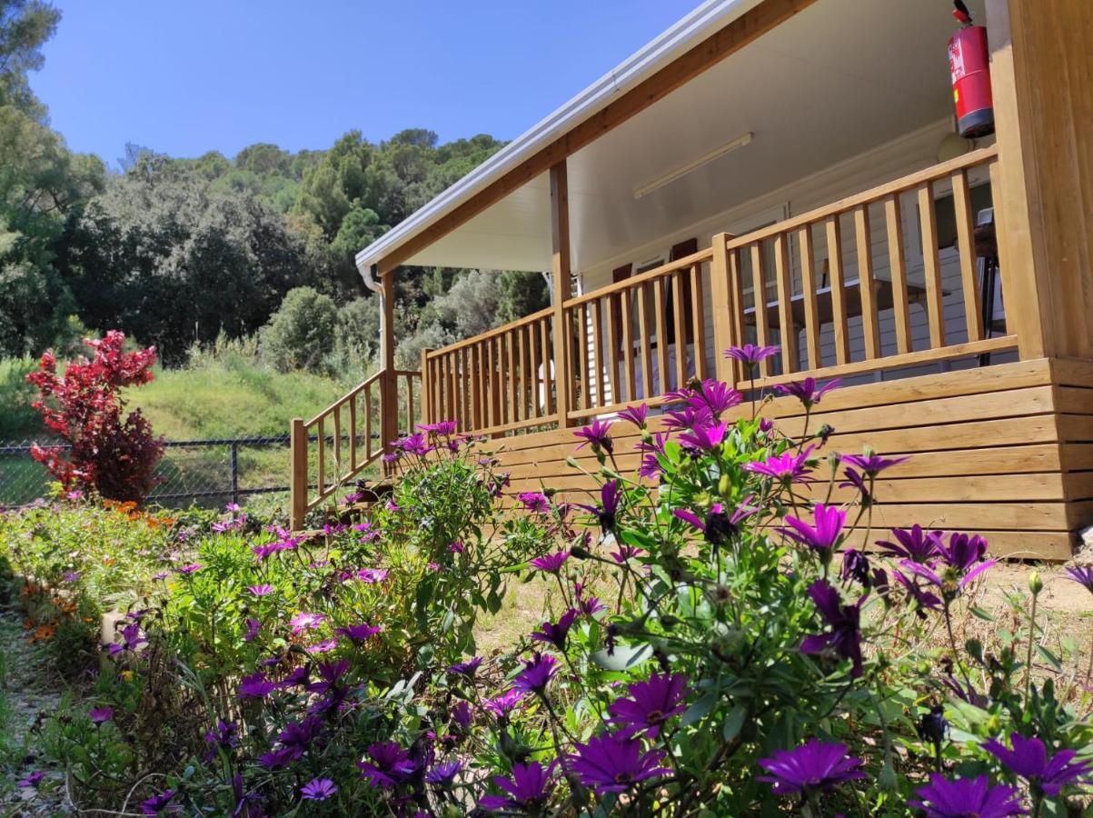 Camping Roca Grossa Calella Exterior photo