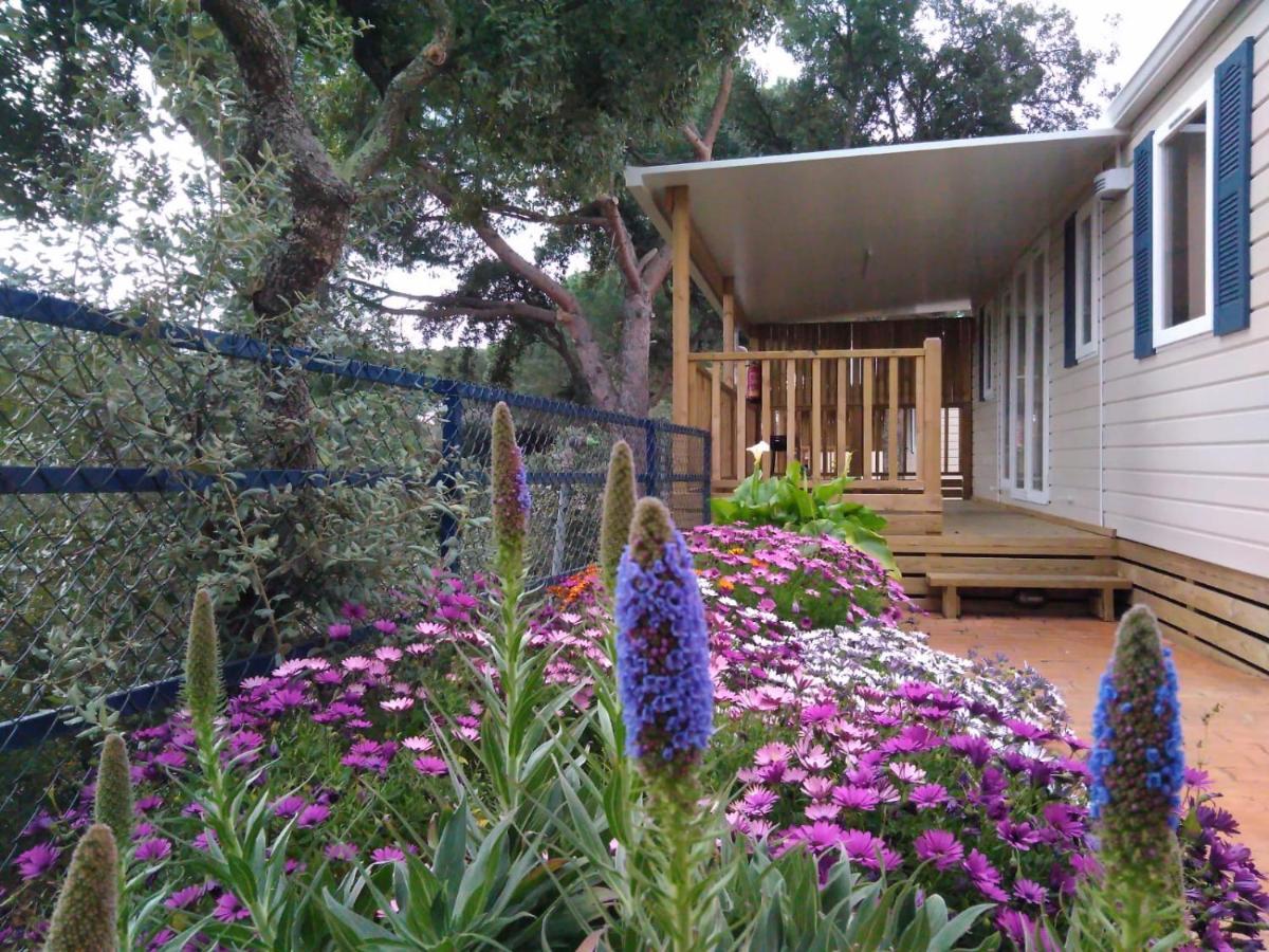 Camping Roca Grossa Calella Exterior photo