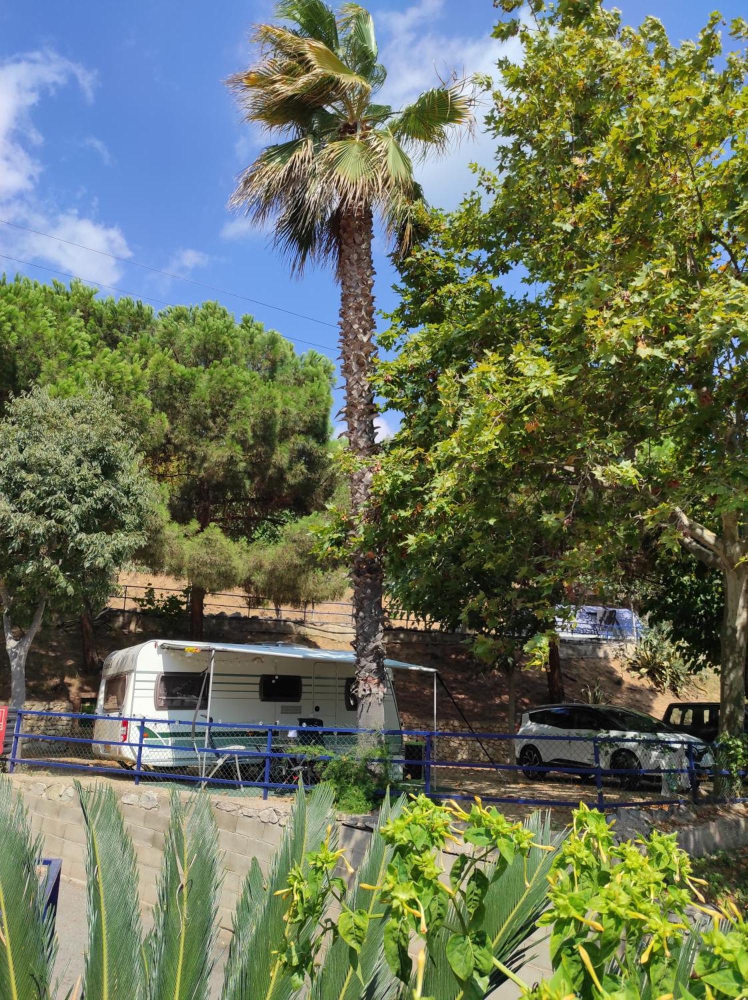 Camping Roca Grossa Calella Exterior photo