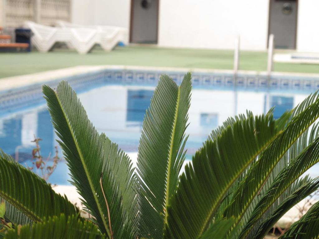 Camping Roca Grossa Calella Exterior photo